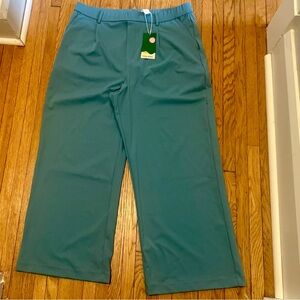 HALARA Women's Teal Pants